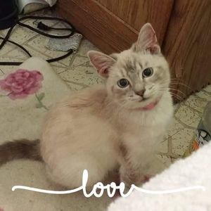 Meet your Posher, Deborah